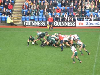 Nice scrum !!